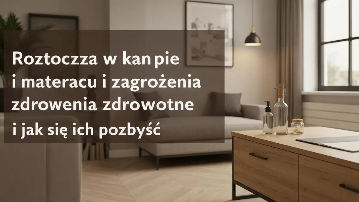 Roztocza w kanapie i materacu - zagrożenia zdrowotne i jak się ich pozbyć