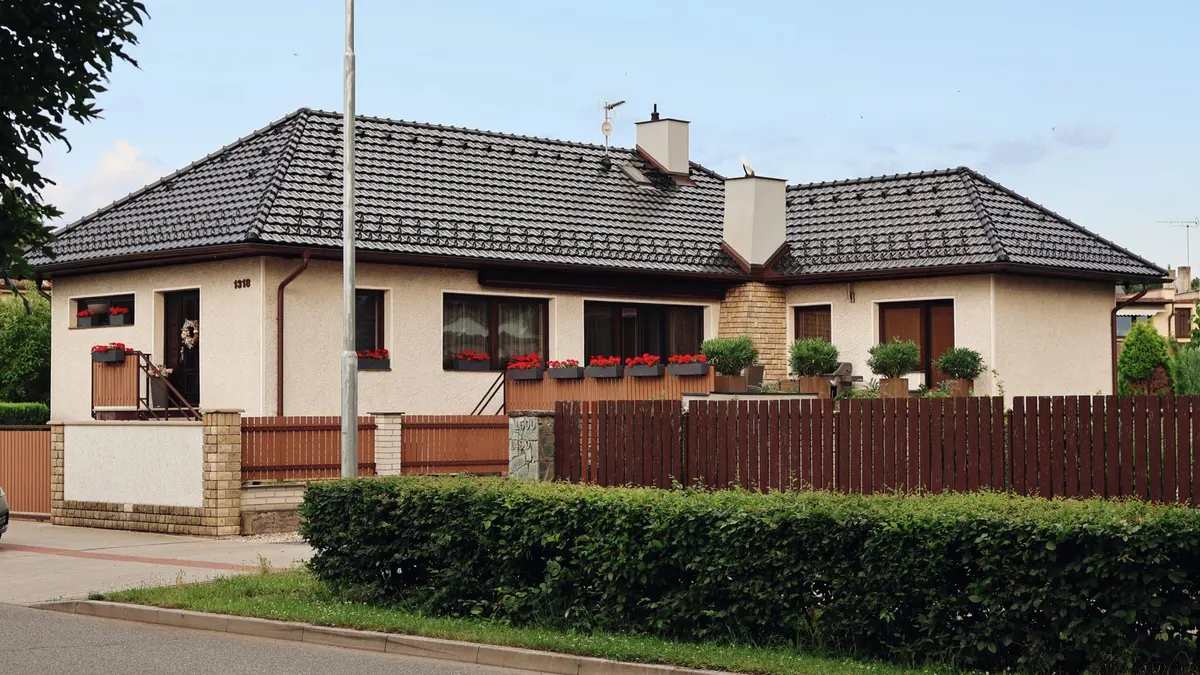 Pchły w domu - jak sprawdzić, czy są również w kanapie?