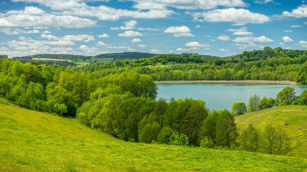 Obszar działania - Olsztyn i okolice